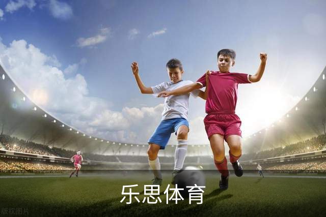乐思体育公司环境